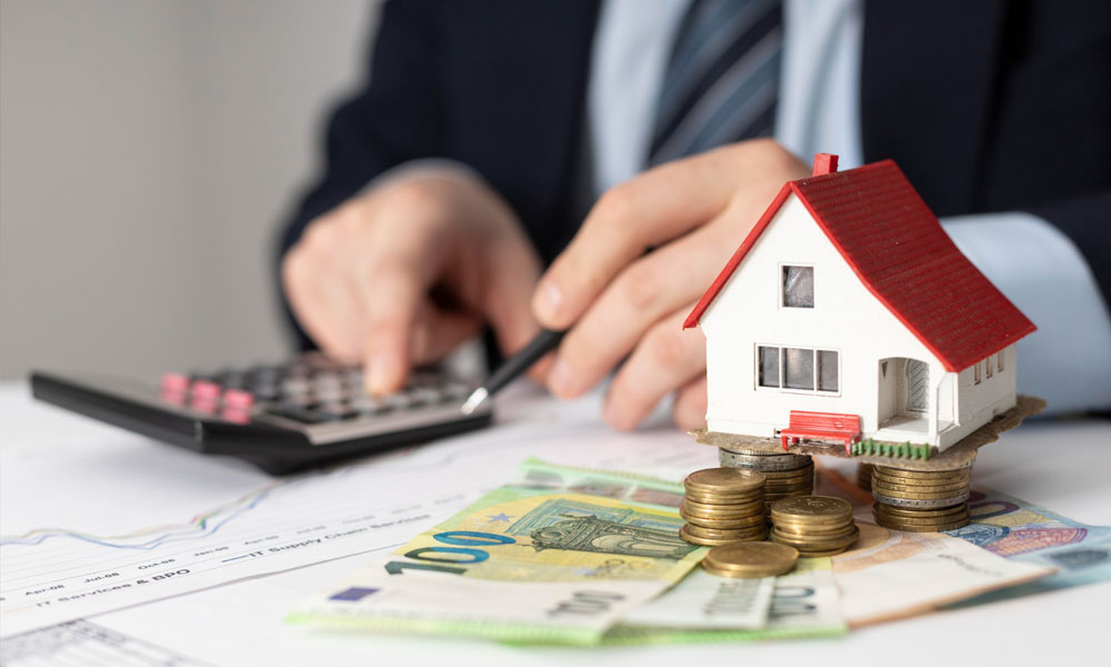 Investment Consultation